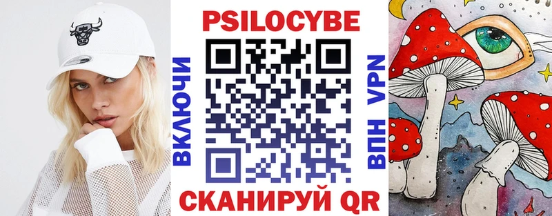 Псилоцибиновые грибы Psilocybe дарк нет состав Зубцов